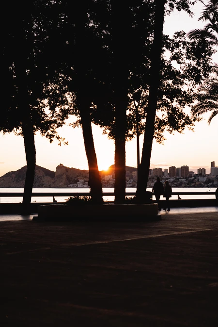 Evening Stroll by the Waterfront