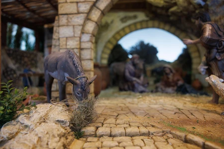 Rustic Diorama Scene