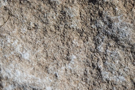 Close-up of Rock Texture