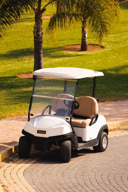 Golf Cart by Palm Trees