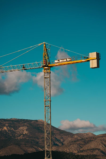 Crane Against Mountainous Backdrop