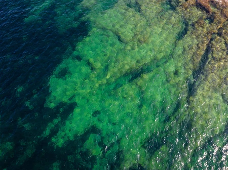 Aerial View of Coastal Waters