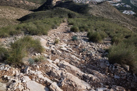 Rocky Trail through Hills