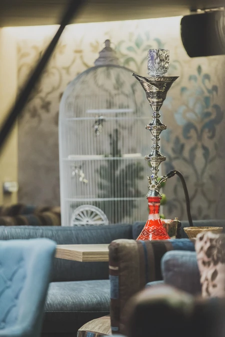 Elegant Lounge Setting