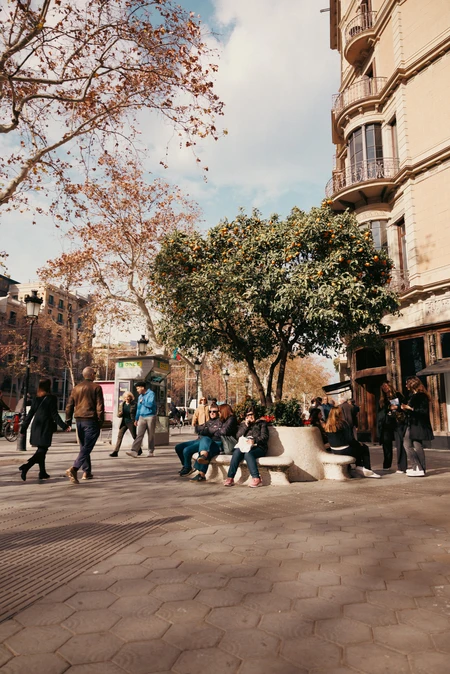 Street Corner in Autumn