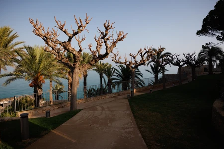 Serene Coastal Pathway
