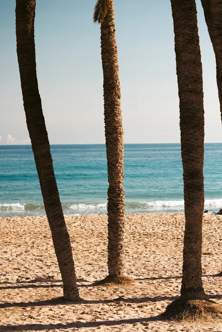 Tropical Beach View