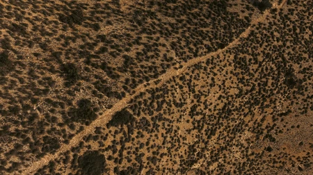 Desert Texture from Above