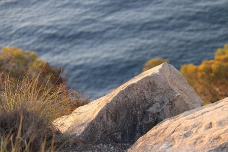 Rocky Seaside View