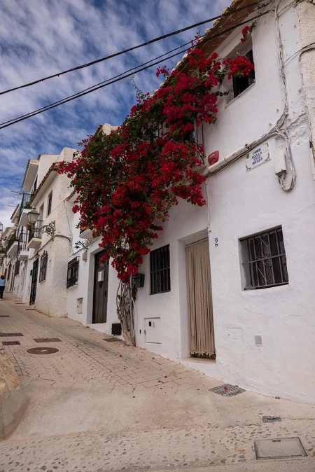 Charming Whitewashed Street