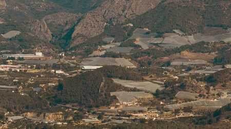 Aerial View of Agricultural Landscape