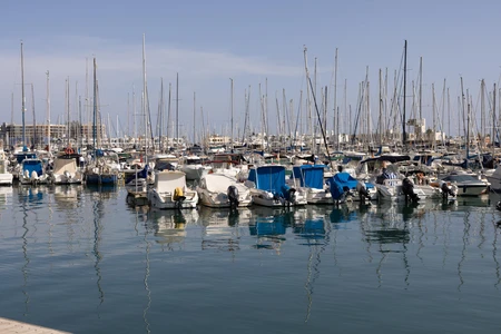 Serene Marina with Boats