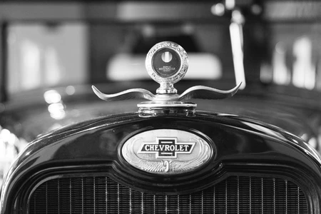 Vintage Car Emblem