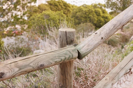 Nature Trail Fence