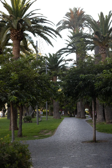 Tropical Pathway