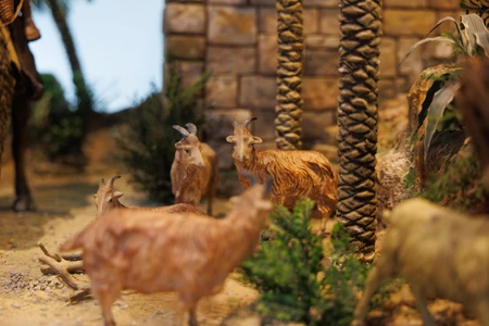 Rustic Scenery with Goats