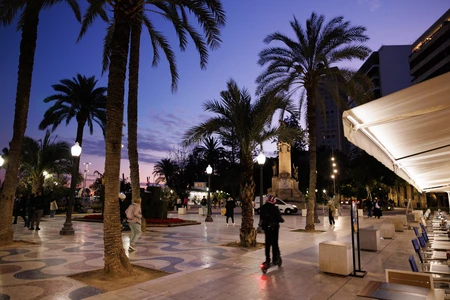 Evening Cityscape with Palm Trees
