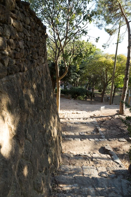Stone Pathway in a Sunlit Forest