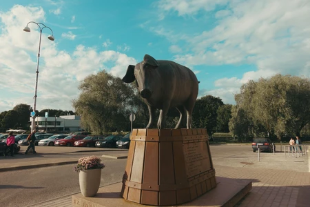 Pig Statue in Park