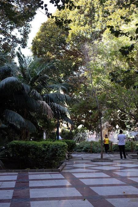 Lush Urban Park Scene