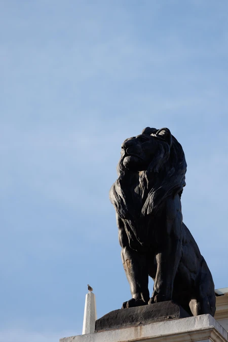 Majestic Lion Statue