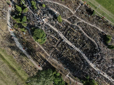 Aerial View of a Forest Path
