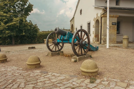 Historic Cannon Display