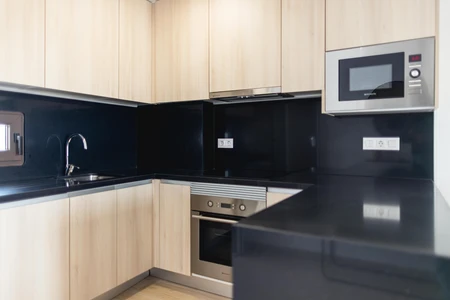 Modern Kitchen interior