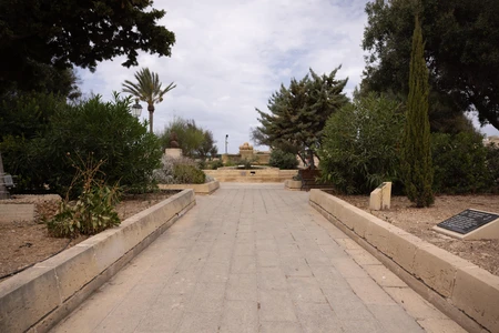 Scenic Pathway in Park