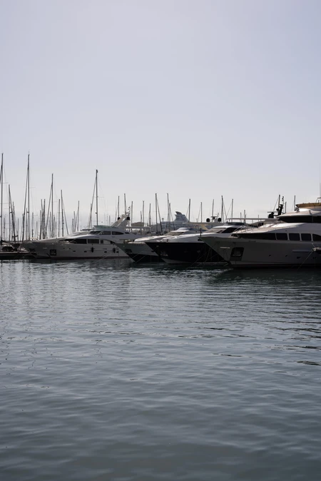 Luxury Yachts at the Marina