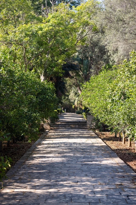 Serene Garden Pathway