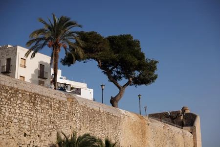 Historic Seaside Wall