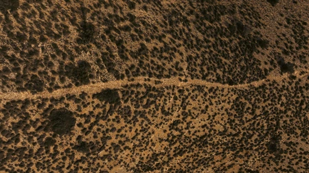 Arid Landscape