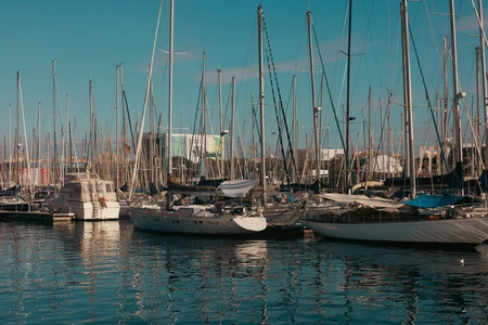 Marina with Yachts