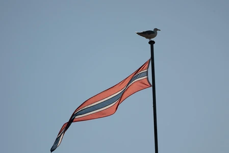 Flag and Seagull