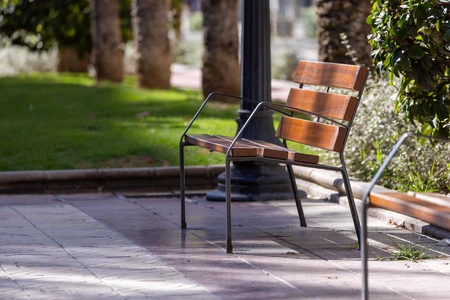 Park Bench in Sunlit Pathway