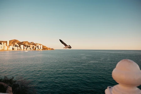 Seaside Skyline with Bird