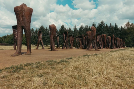 Forest Sculpture Park