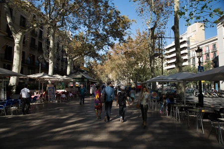 Bustling City Street