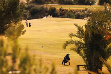 Sunny Golf Course Scene