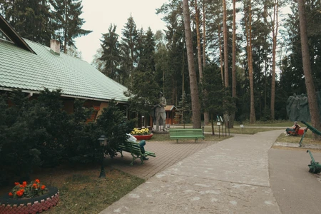 Tranquil Forest Retreat