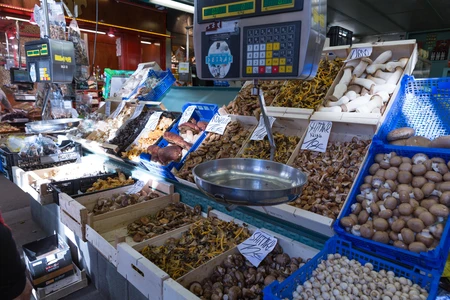 Market Mushroom Display