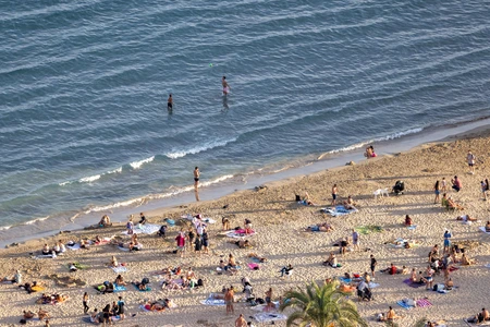 Crowded Beach on a Sunny Day