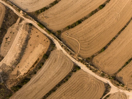 Aerial View of Farmland