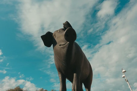 Pig Statue Under Blue Sky