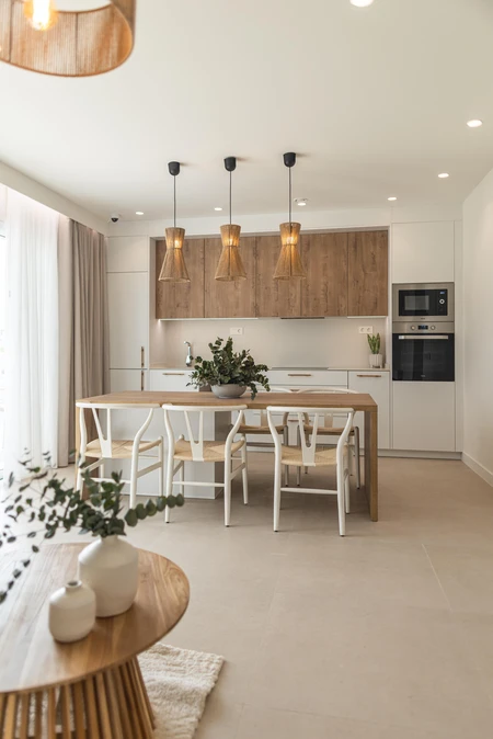 Modern Minimalist Kitchen
