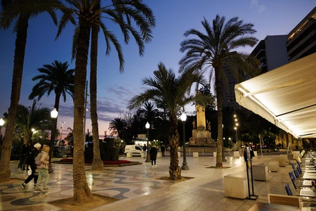 Evening Stroll Along Palm-Lined Promenade