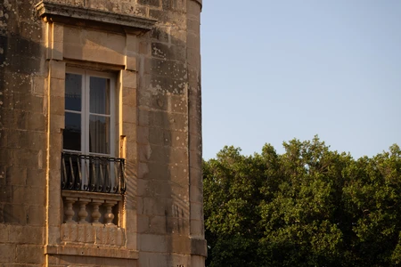 Historic Window in Natural Setting