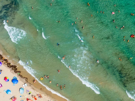 Aerial View of a Beach
