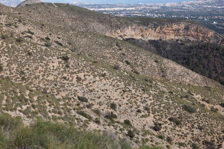 Hilly Landscape with City View